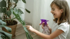 Tips for a Cleaner, Greener Home