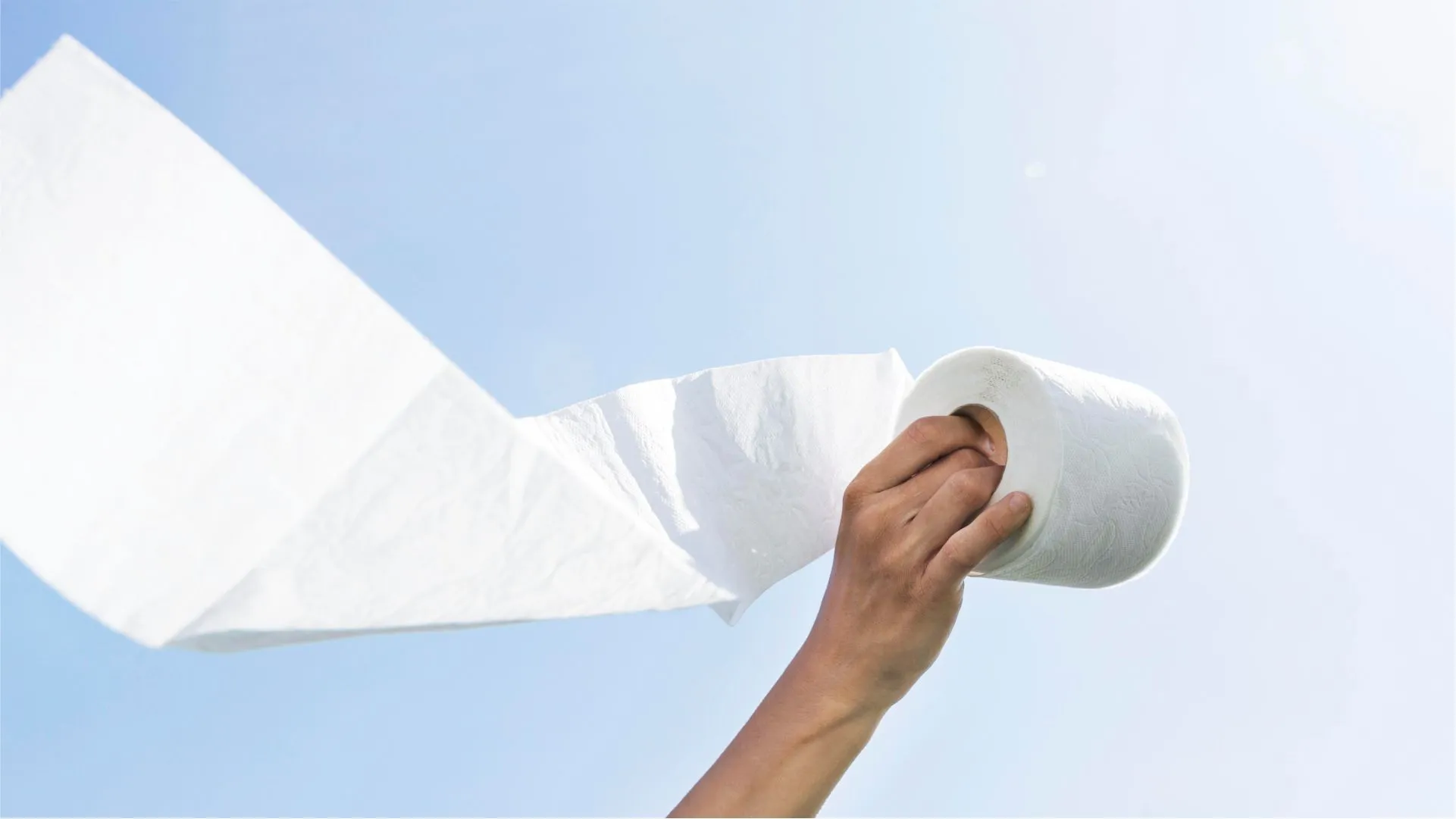 Paper Towels and Facial Tissues