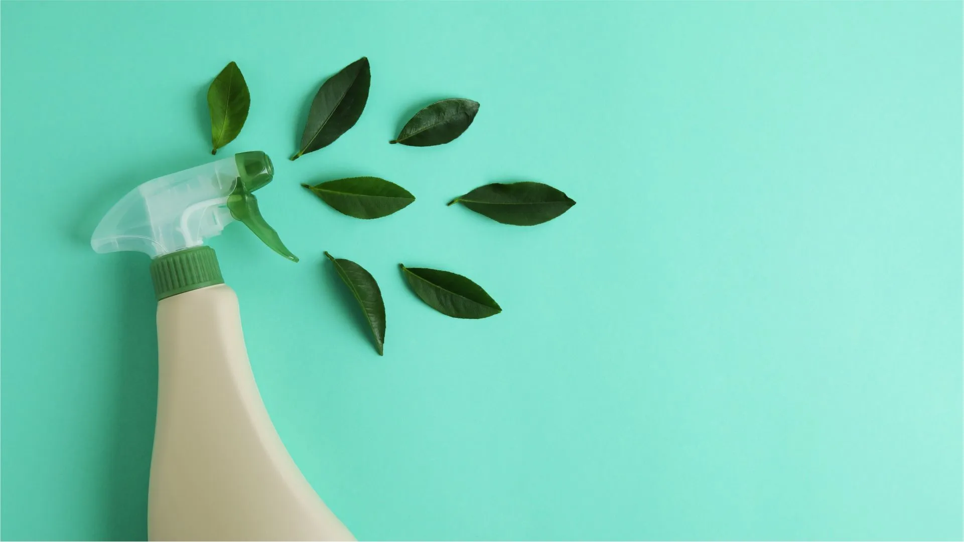 16 Eco-Friendly Cleaners