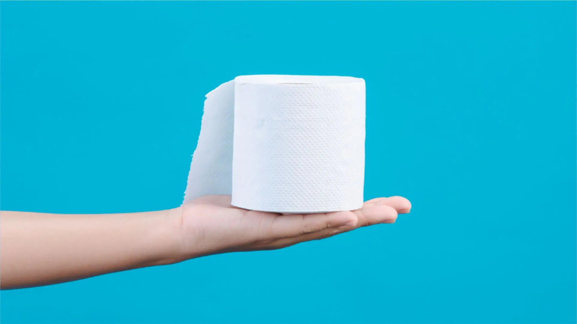26 Best Quality Toilet Rolls